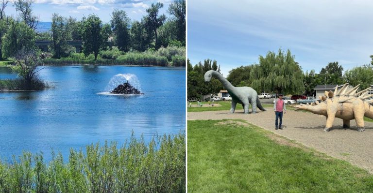 Life-Sized Dinosaurs Make This Washington Park A Playfully Weird June Escape