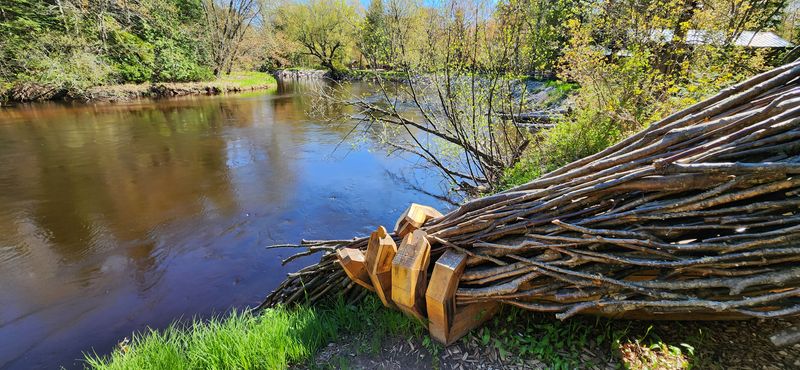 Sonic Details To Notice