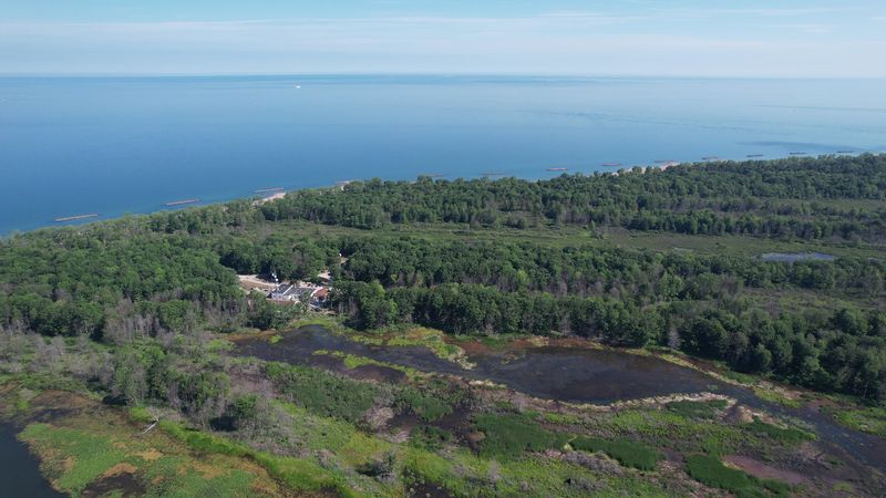 Wildlife Watching Opportunities Throughout the Peninsula