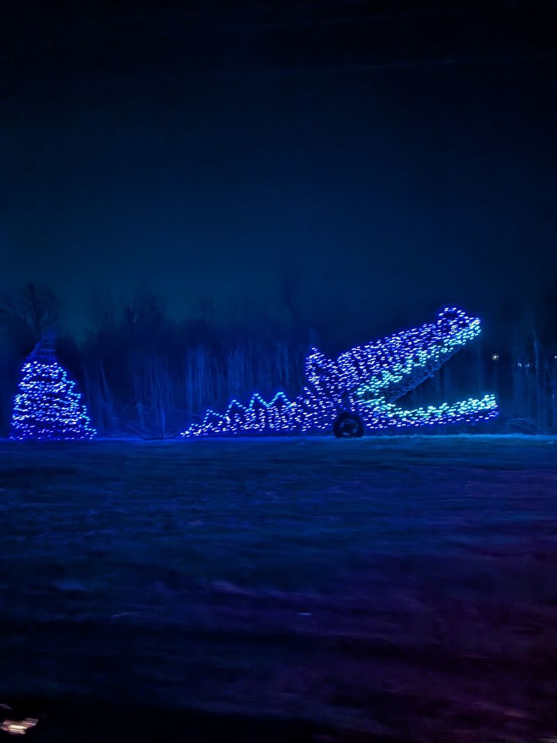 Lights on the Delta Lights on the Delta