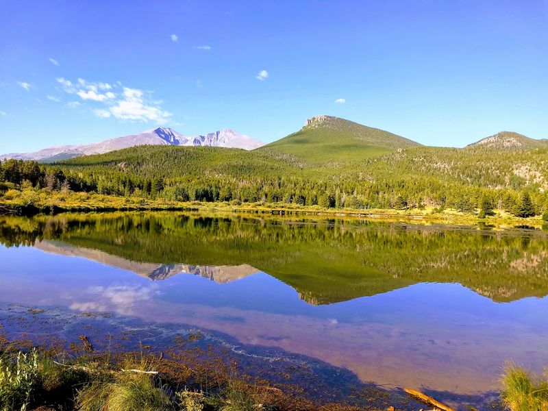 Lily Lake