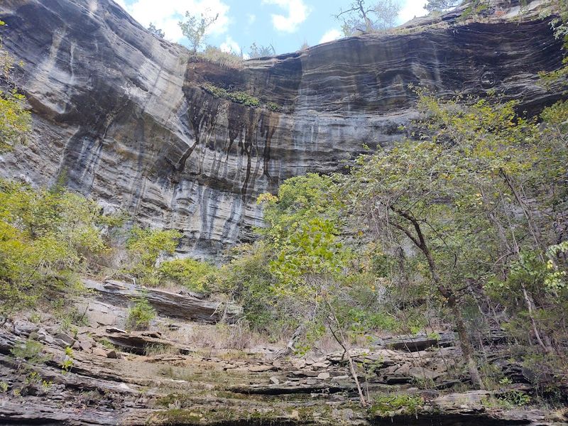 Limestone Bluffs Along A Quiet Forest Trail