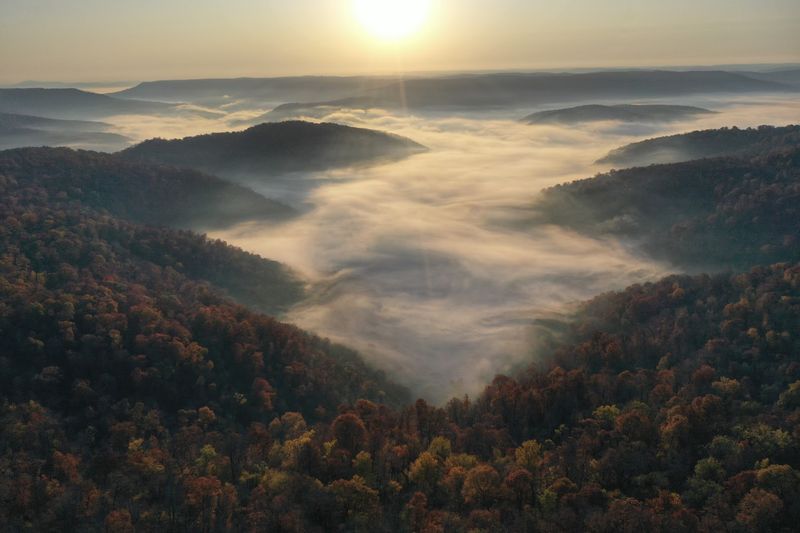 Morning Fog Over Pasture And Grazing Elk