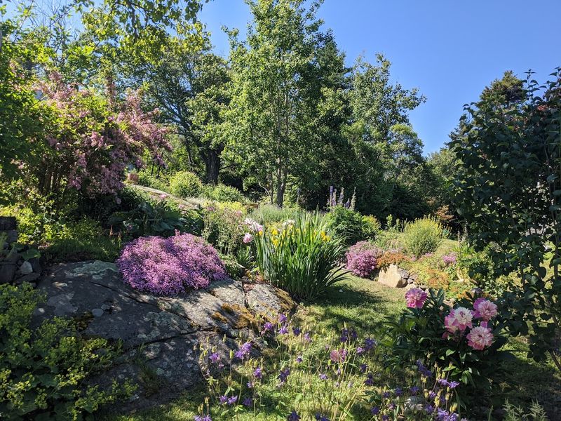 Miles Of Hiking Trails 