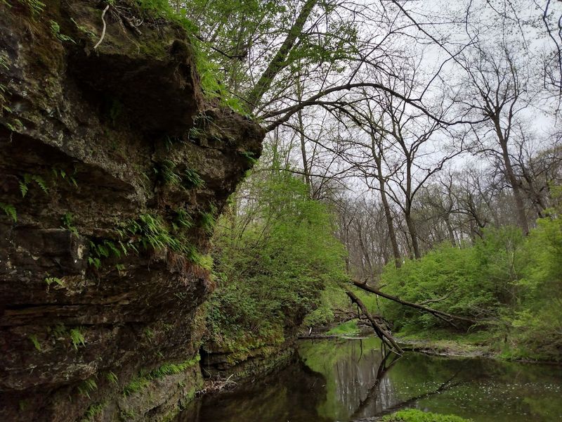Severson Dells Loop, Rockford Area