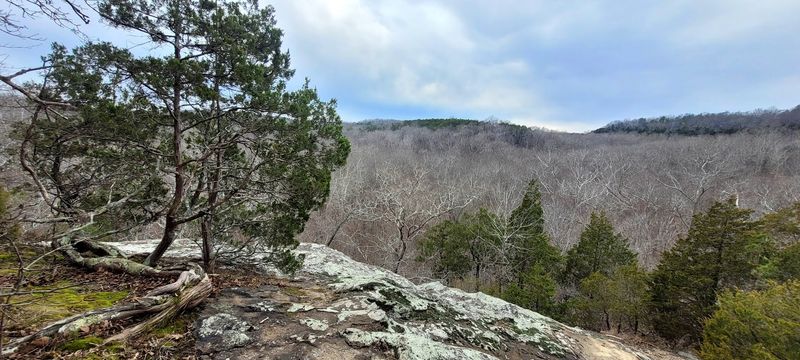 High Knob Lookout, Shawnee National Forest