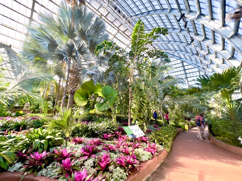 Garfield Park Conservatory - 300 N Central Park Ave, Chicago, IL 60624