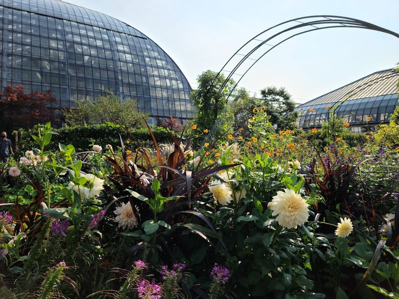 Garfield Park Conservatory And Garfield Park