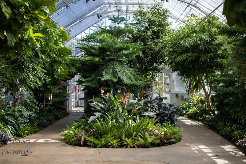 Wilder Park Conservatory - Elmhurst