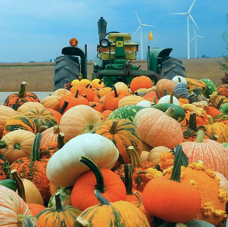 Lincoln Ridge Farms, Convoy