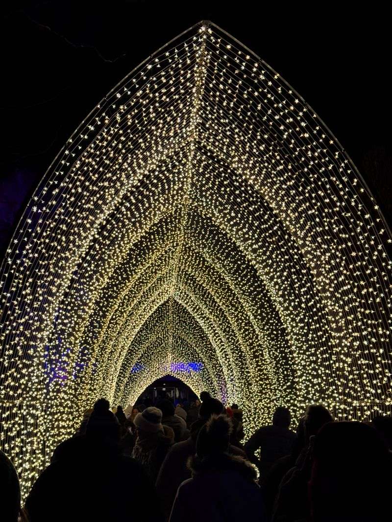 Glencoe - Lightscape at Chicago Botanic Garden