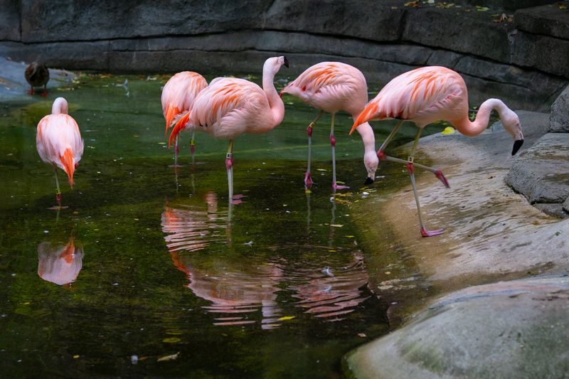 Find The Wide Overlook