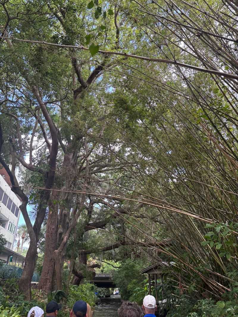 Mind The Low Bridges