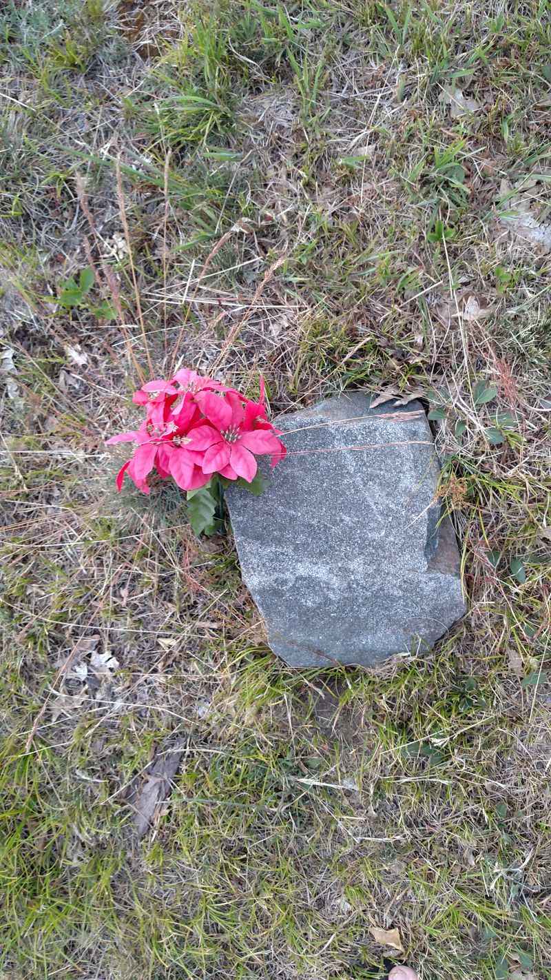 Preservation And How To Help