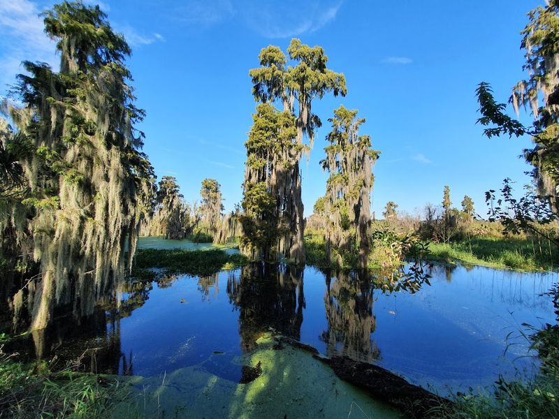 Circle B Bar Reserve, Lakeland, Florida