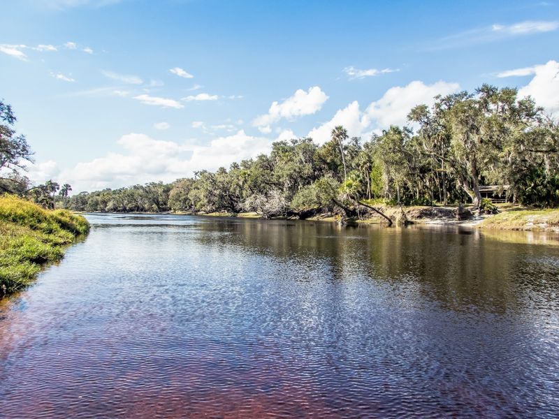 Little Big Econ State Forest, Seminole County
