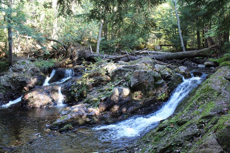 Little Carp River Trail