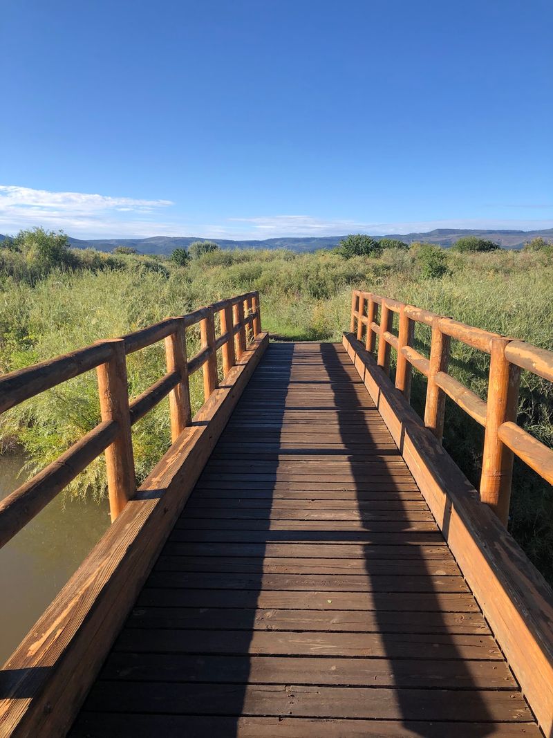 Little Colorado River Walk, Springerville, AZ Little Colorado River Walk, Springerville, AZ