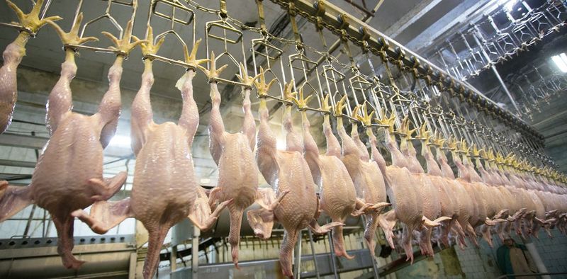 Chlorinated Chicken's Washing Woes
