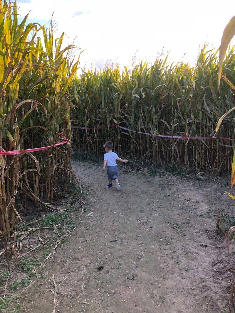 Little Explorers Get A Maze Sized Just For Them
