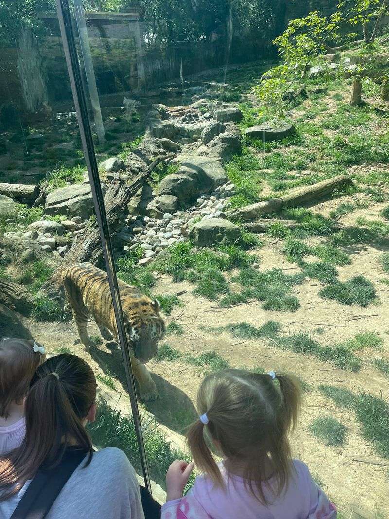 Little Explorers Get Their Own Wild Classroom