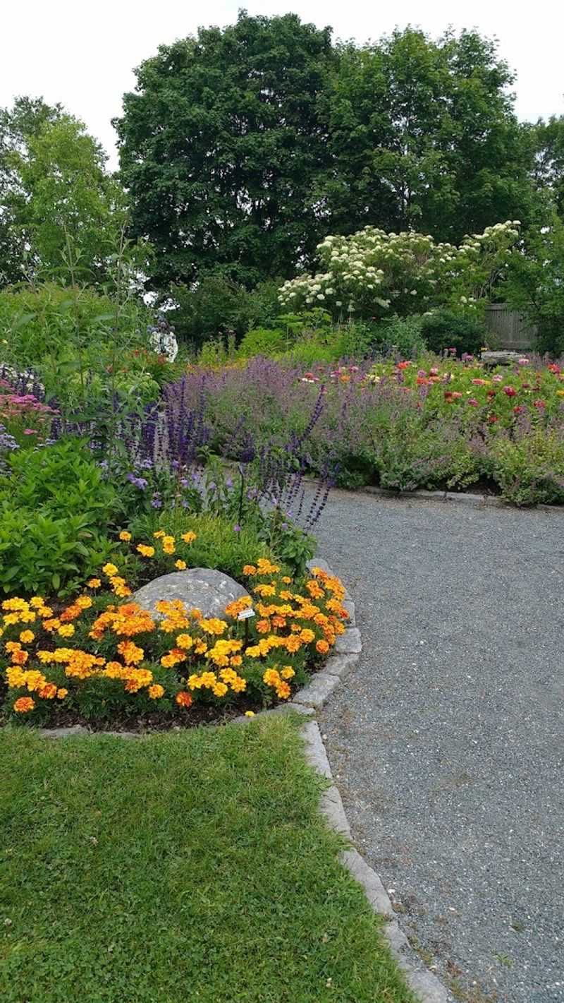 Little Feet, Easy Paths