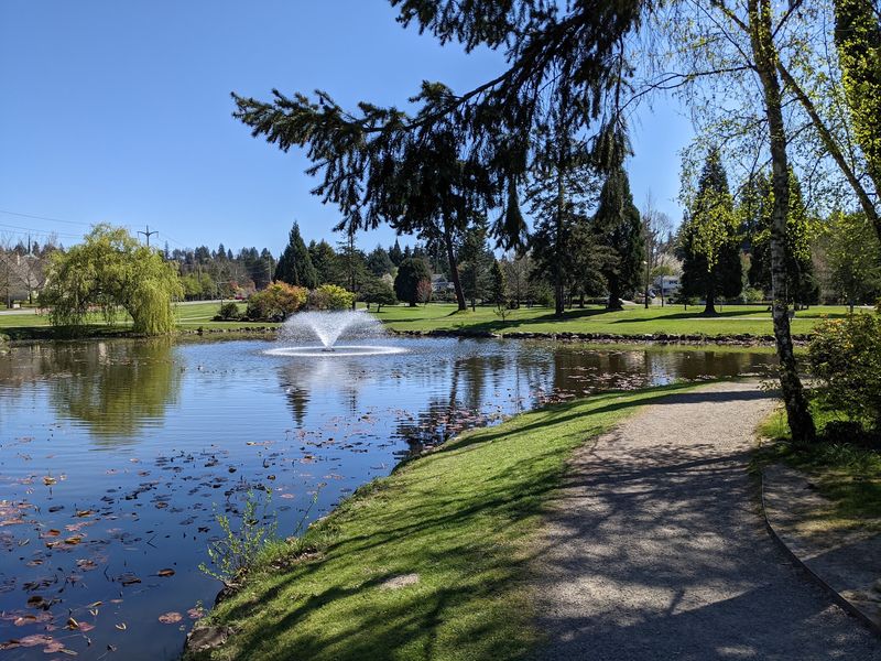 Little Free Libraries, Lion Park, And Medina Days