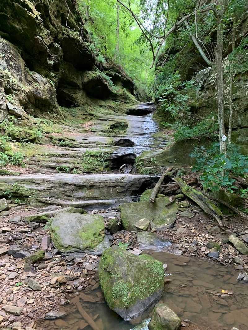Little Grand Canyon, Shawnee National Forest Little Grand Canyon, Shawnee National Forest