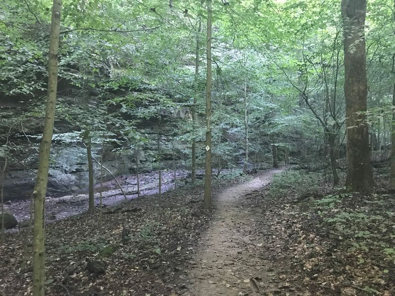Little Grand Canyon Trail, Shawnee National Forest