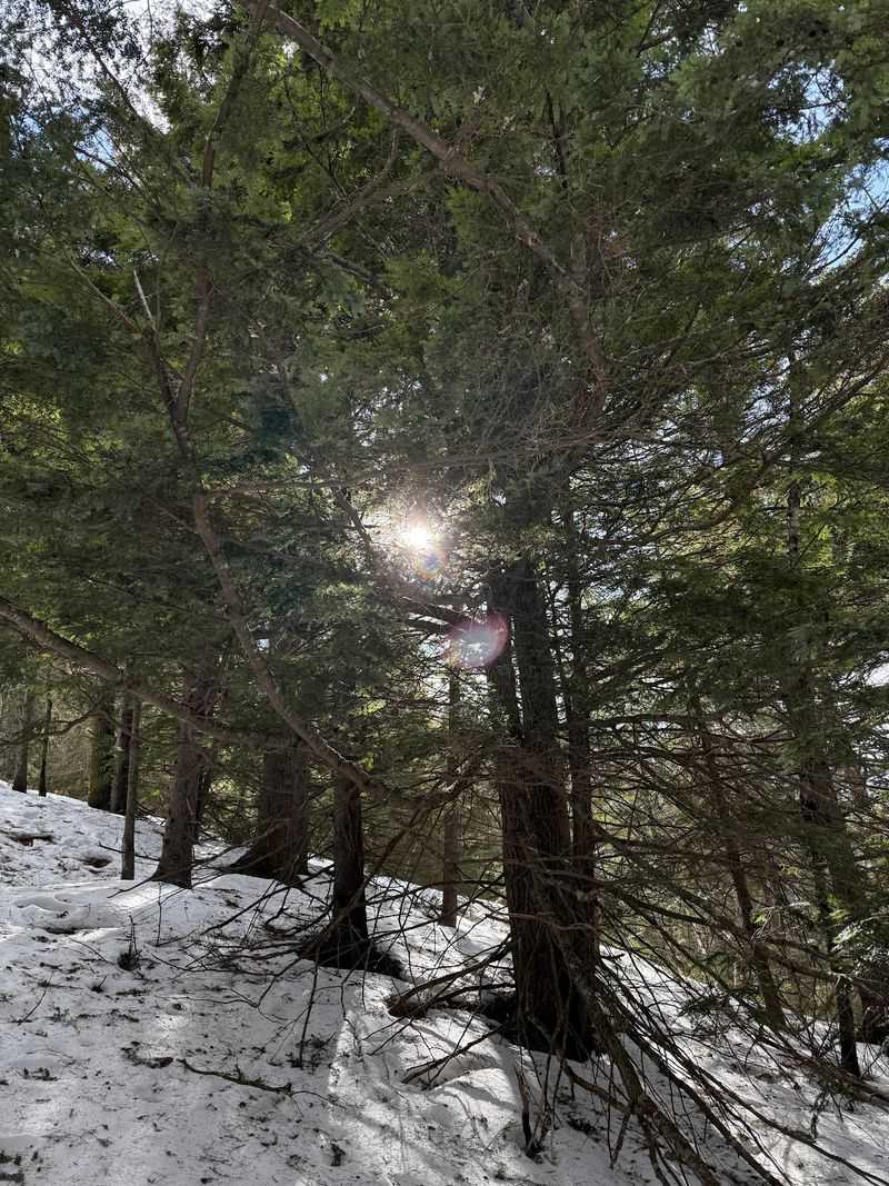 Little Legs And First-Time Hikers Can Totally Handle This