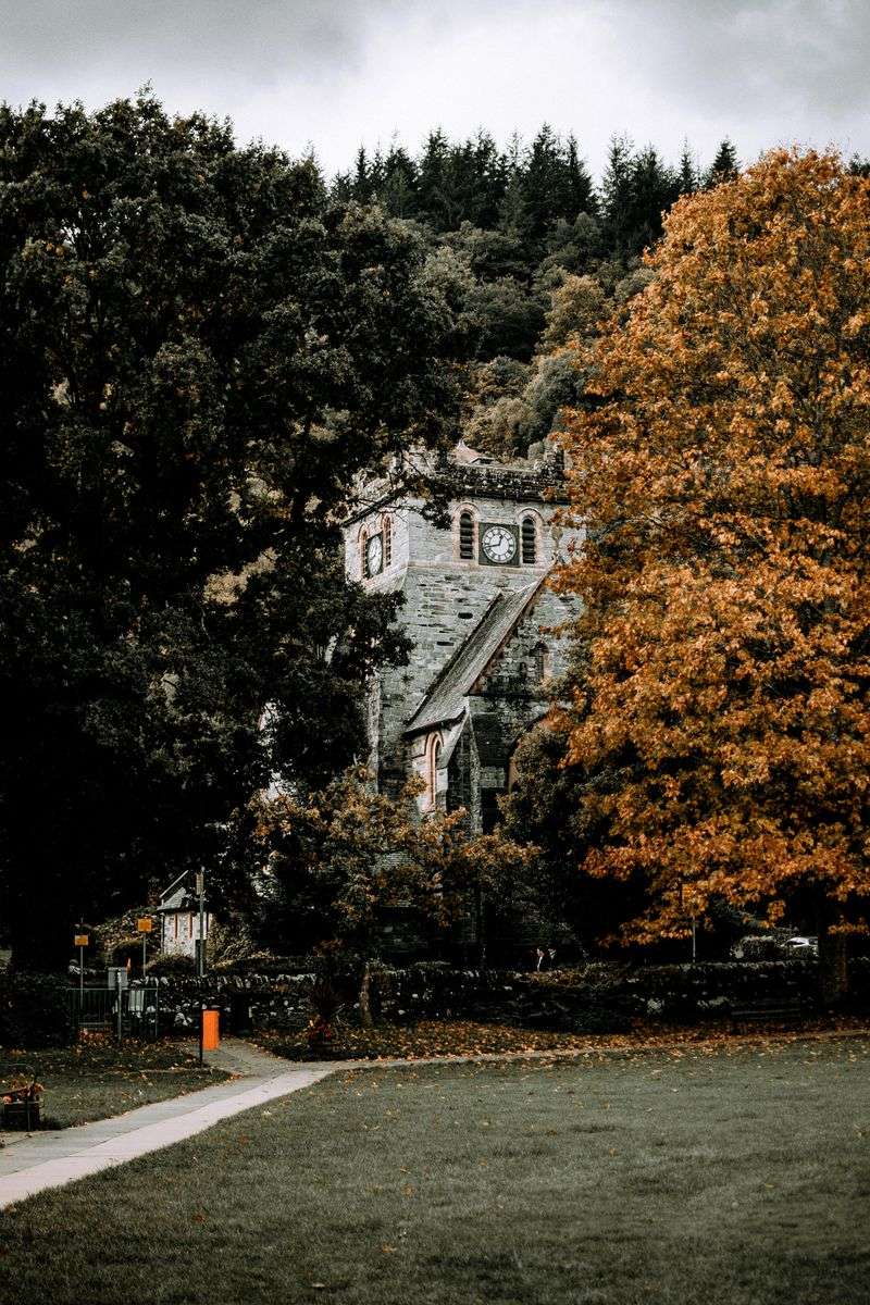 The Line You Text Later