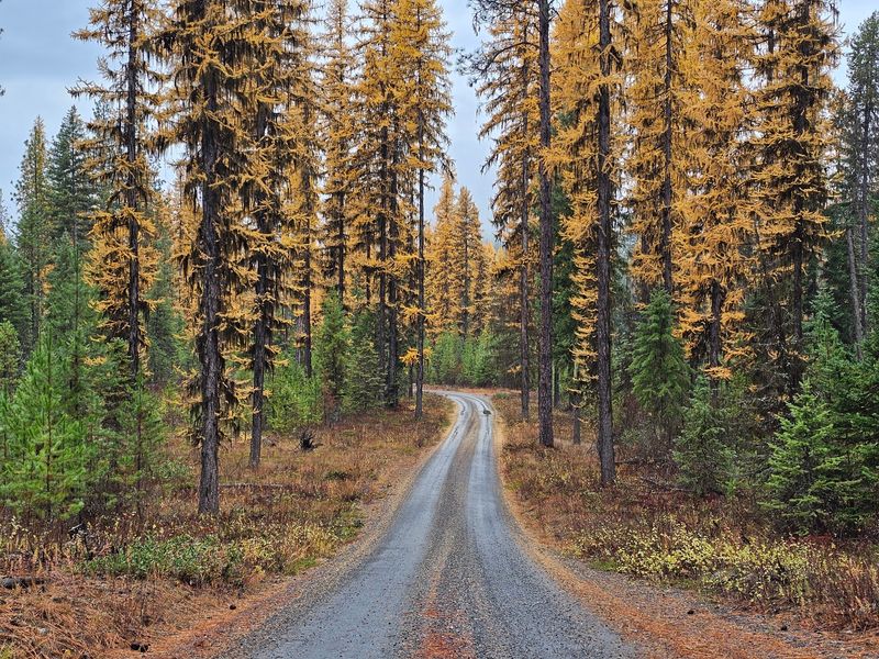 Little Pend Oreille National Wildlife Refuge