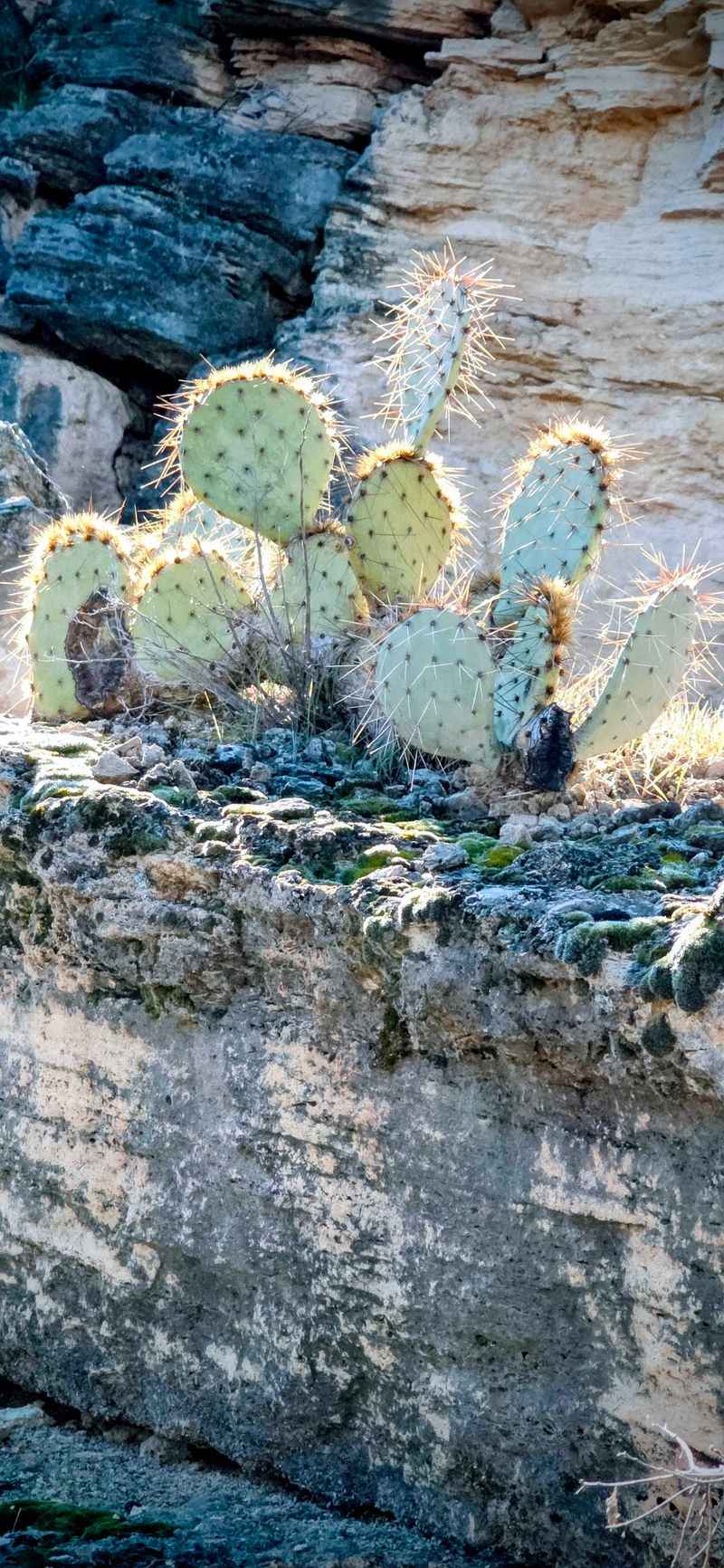 Little Surprises Along The Loop