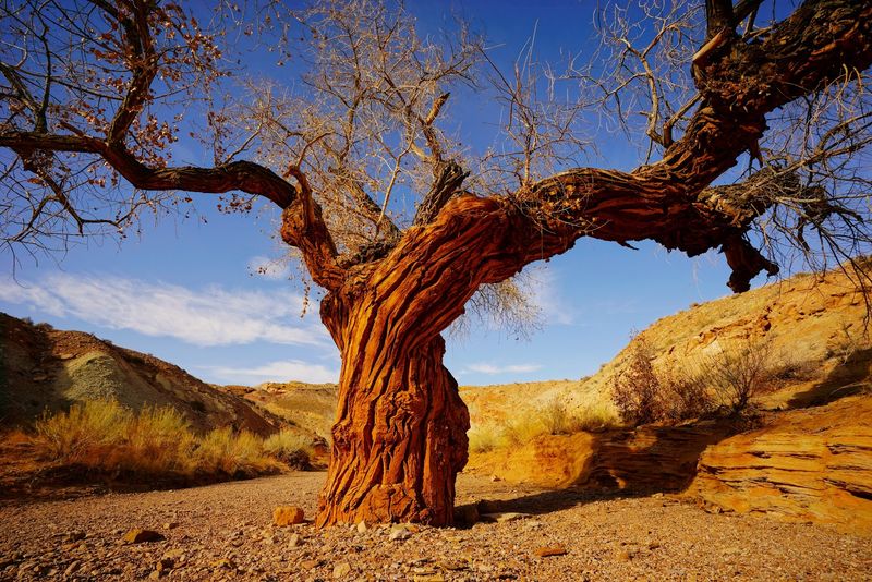 Little Wild Horse Canyon Little Wild Horse Canyon