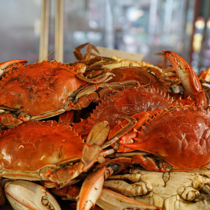Live Blue Crabs And The Seasonal Rush