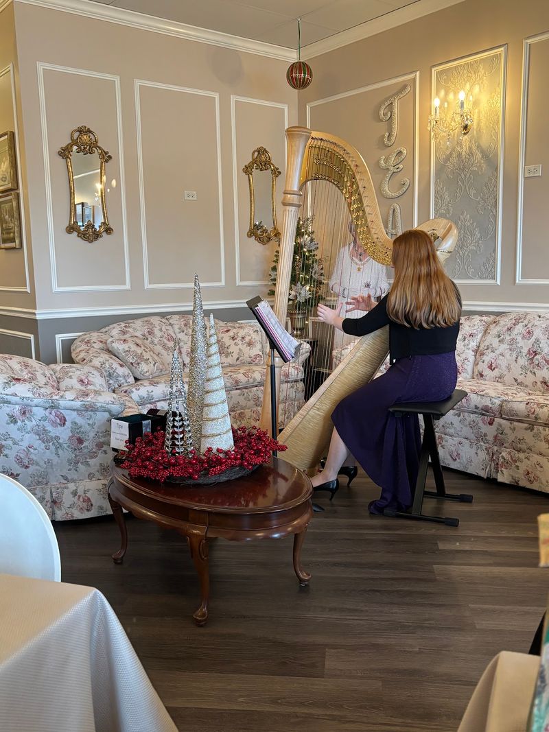 Live Harp Music And Festive Events