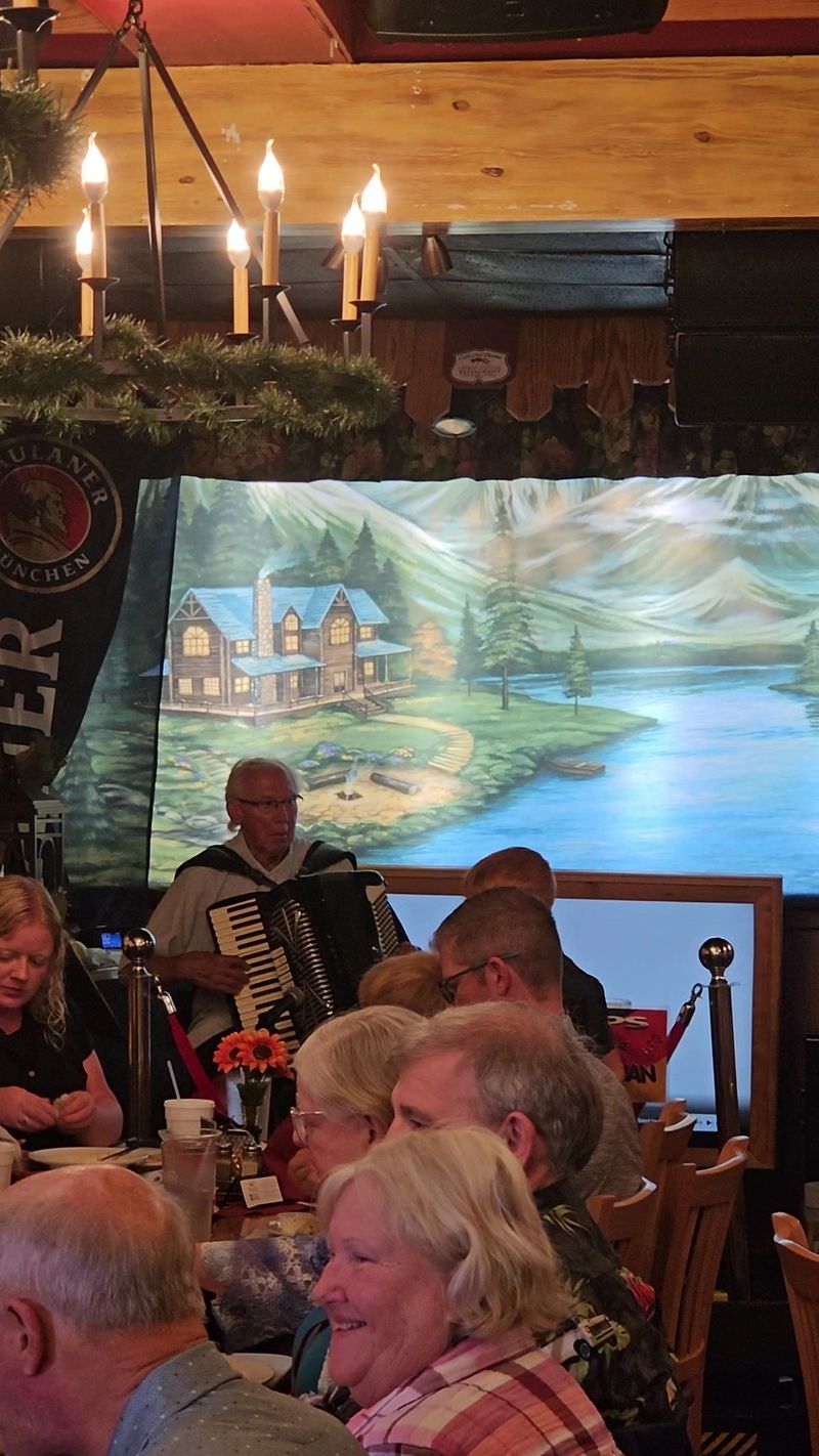 Live Music And The Accordion Player Experience