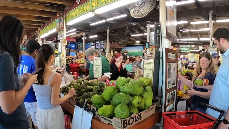 Food Trucks Serving Actual Meals