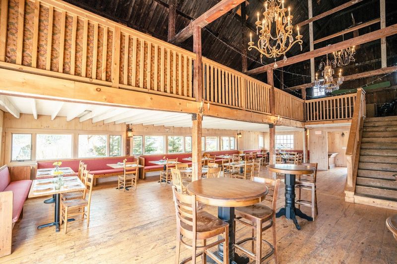 Live Music That Turns Dinner Into An Event