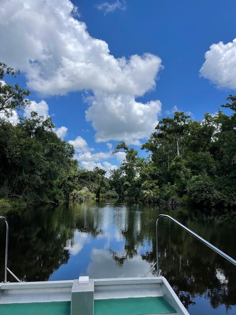 Airboat Tours Make It A Full Adventure