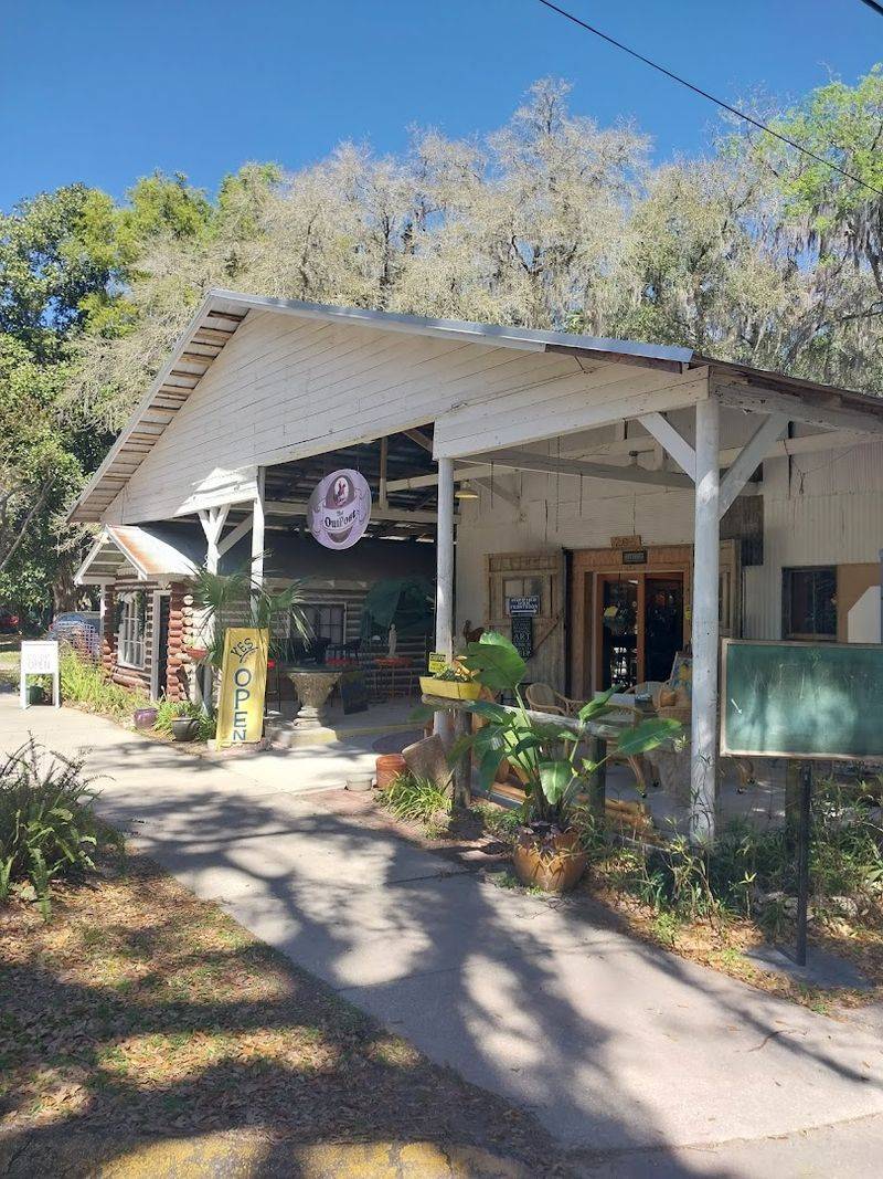 Live Oak Canopy And Natural Beauty