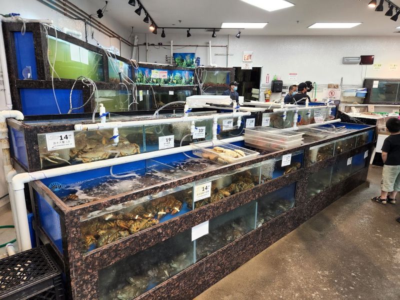 Live Seafood Tanks Steal The Show