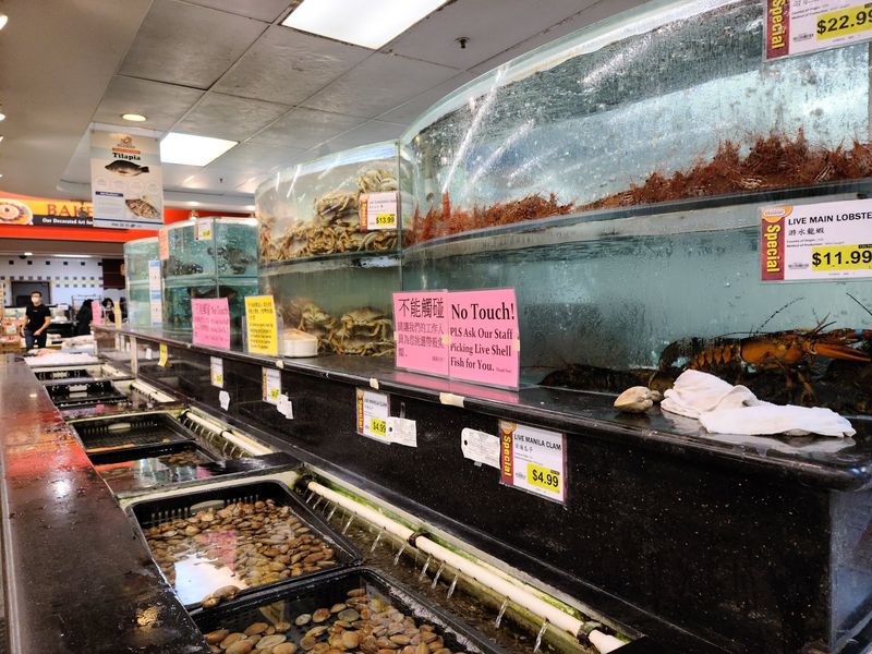 Live Seafood and a Well-Stocked Fish Section