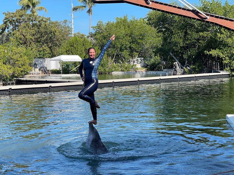 Live Shows Featuring Dolphins, Sea Lions, Parrots, Sharks, Rays, And More