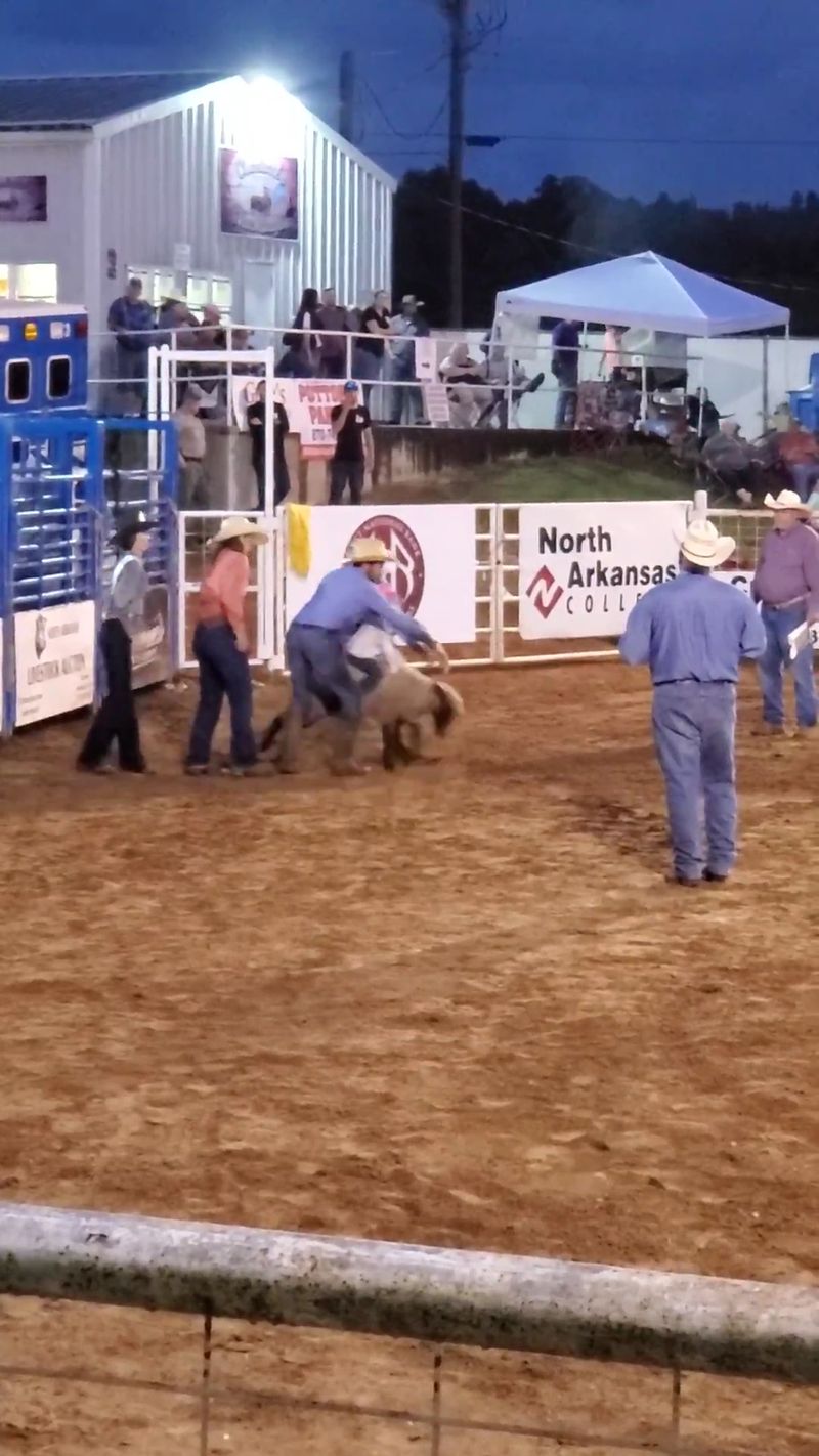 Livestock Barns Come Alive Livestock Barns Come Alive