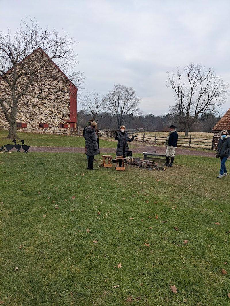 Guided Tours Led by Passionate Historians