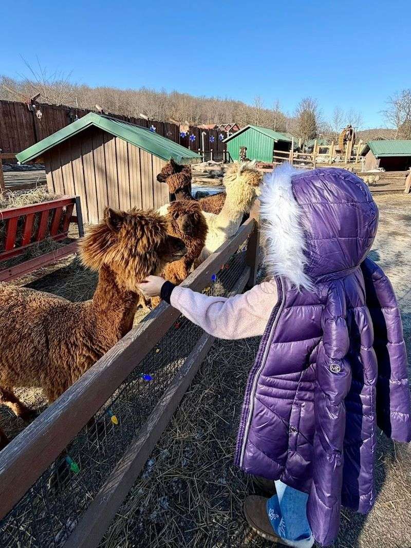 Living Treasures Animal Park, Jones Mills, Pennsylvania