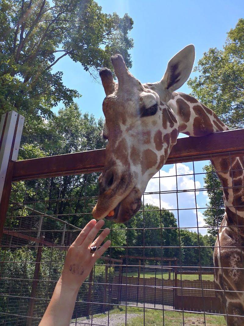 Living Treasures Wild Animal Park Moraine, New Castle, Pennsylvania