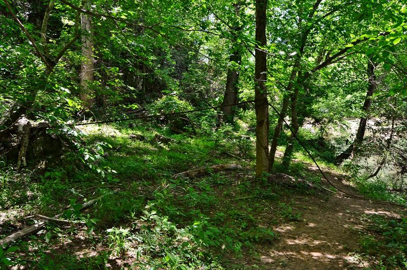 Hidden Trails And Quiet Nature Escapes