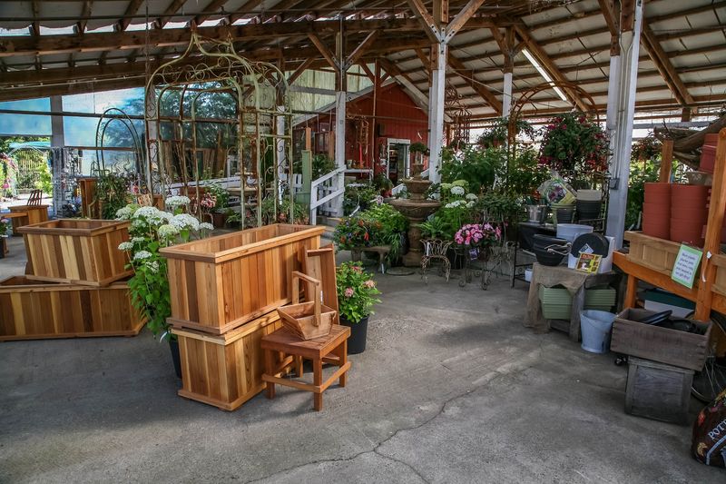 Local Artists Get Real Shelf Space